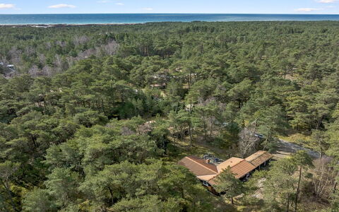Gaja - 1Km from the Sea: Landscape, Ecoregion, Land Lot, Forest, Bird'S-Eye View, Aerial Photography, Plantation, Jungle, Chaparral, Rainforest