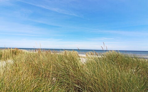 Gaja - 1Km from the Sea: Blue, Horizon, Ecoregion, Coast, Coastal And Oceanic Landforms, Sea, Beach, Shore, Ocean
