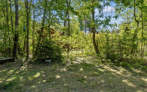 Blakke - 250M from the Sea: Leaf, Green, Tree, Natural Environment, Grass, Branch, Vegetation, Shrub, Summer, Plant Community