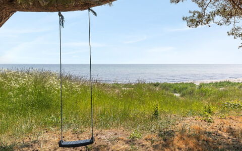 Botolphus - 20M from the Sea: House, Cottage, Roof, Garden Buildings, Shade, Shed, Backyard, Outdoor Furniture, Yard, Lawn