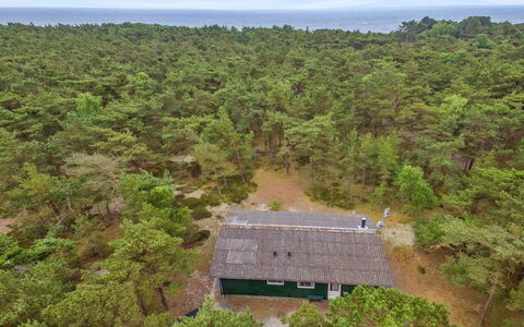 Michel - 300M from the Sea: Wood, House, Cottage, Home, Roof, Rural Area, Siding, Log Cabin, Garden Buildings, Hardwood
