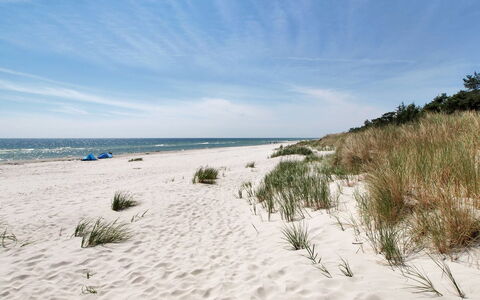 Michel - 300M from the Sea: Wood, House, Cottage, Home, Roof, Rural Area, Siding, Log Cabin, Garden Buildings, Hardwood