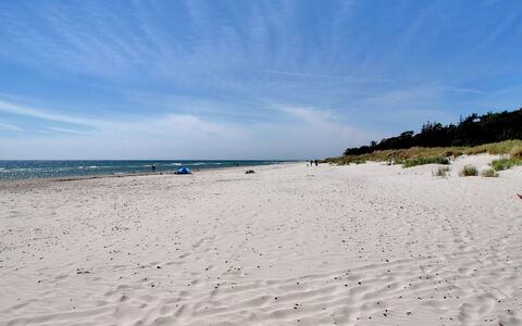 Hallgerd - 800M from the Sea: Wood, House, Cottage, Home, Roof, Rural Area, Siding, Log Cabin, Garden Buildings, Hardwood