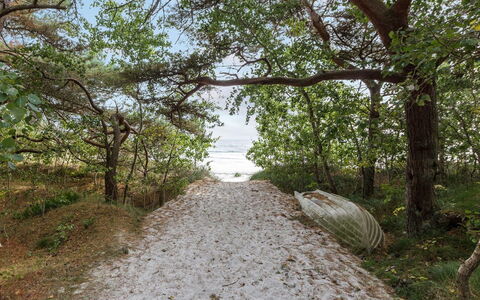 Fastulf - 300M from the Sea: Grass, Wood, Rural Area, Shrub, Cottage, Roof, Plain, Land Lot, Home, Groundcover