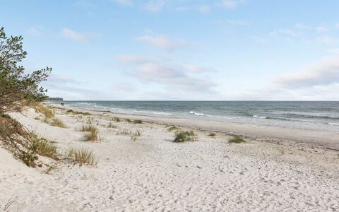 Fastulf - 300M from the Sea: Grass, Wood, Rural Area, Shrub, Cottage, Roof, Plain, Land Lot, Home, Groundcover