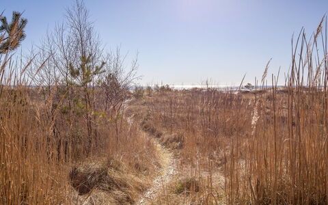 Unto - 25M from the Sea: Wood, House, Cottage, Home, Roof, Rural Area, Siding, Log Cabin, Garden Buildings, Hardwood
