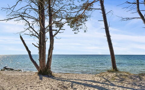 Mikkelina - 700M from the Sea: Blue, Body Of Water, Wood, Coast, Beach, Coastal And Oceanic Landforms, Shore, Sea, Sand