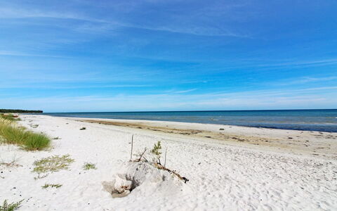 Jaarne - 800M from the Sea: Grass, Shrub, House, Garden, Home, Cottage, Land Lot, Lawn, Groundcover