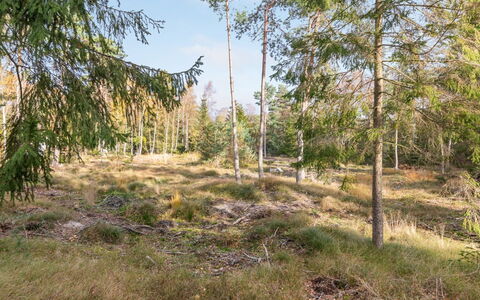 Jaarne - 800M from the Sea: Wood, House, Cottage, Home, Roof, Rural Area, Siding, Log Cabin, Garden Buildings, Hardwood