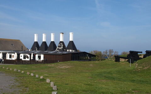 Skoge - 500M from the Sea: Grass, Shrub, House, Garden, Home, Cottage, Land Lot, Lawn, Groundcover
