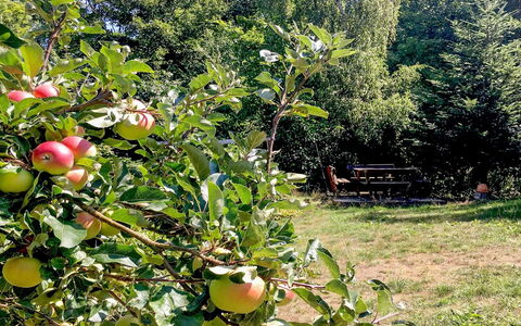 Hannele - 200M from the Sea: Roof, House, Land Lot, Home, Cottage, Estate, Garden Buildings, Shade, Log Cabin, Landscaping