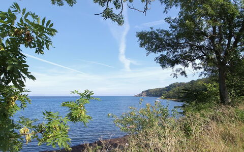 Alfred - 25M from the Sea: Home, Cottage, Porch, Siding, Farmhouse, Outdoor Structure
