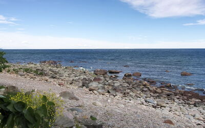 Alfred - 25M from the Sea