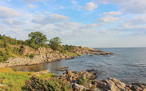 Thorsten - 500M from the Sea: Wood, House, Cottage, Home, Roof, Rural Area, Siding, Log Cabin, Garden Buildings, Hardwood