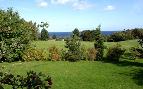 Spurgh - 250M from the Sea: Wood, House, Cottage, Home, Roof, Rural Area, Siding, Log Cabin, Garden Buildings, Hardwood