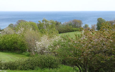 Iikka - 300M from the Sea: Wood, House, Cottage, Home, Roof, Rural Area, Siding, Log Cabin, Garden Buildings, Hardwood