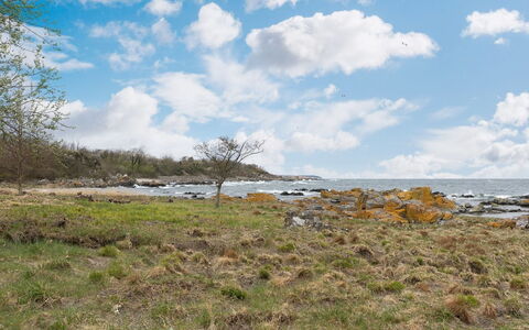 Ensio - 150M from the Sea: Sky, Blue, Cloud, Vegetation, Rock, Ecoregion, Horizon, Coast, Plant Community, Grassland