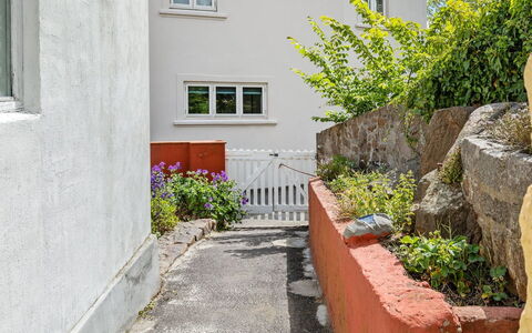 Alea - 200M from the Sea: Wall, Shrub, Composite Material, Groundcover, Garden, Concrete, Brick, Stairs, Flowerpot