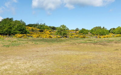 Alea - 200M from the Sea