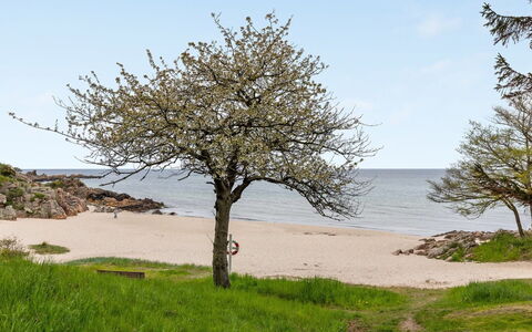 Hermann - 100M from the Sea: Building, House, Window, Home, Roof, Residential Area, Shrub, Cottage, Land Lot
