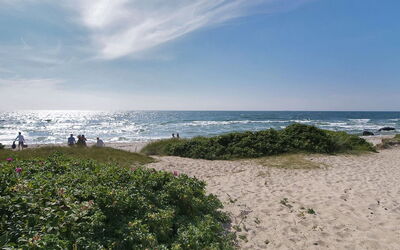 Joske - 250M from the Sea