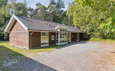 Dorit - 600M from the Sea