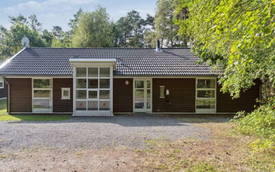 Dorit - 600M from the Sea