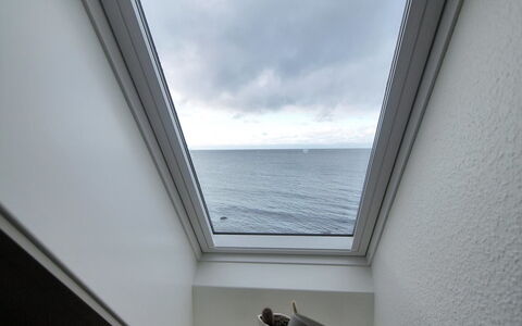 Uschi - 15M from the Sea: Building, House, Window, Home, Roof, Residential Area, Shrub, Cottage, Land Lot