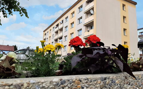 Helena Harrachov: Flower, Sky, Building, Cloud, Plant, Daytime, Window, House, Neighbourhood, Road Surface