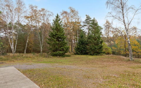 Gerty - 300M from the Sea: Roof, House, Home, Cottage, Siding, Estate, Driveway, Garden Buildings, Yard, Shed