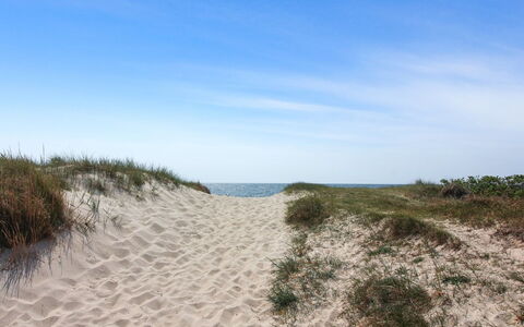Gerty - 300M from the Sea: Roof, House, Home, Cottage, Siding, Estate, Driveway, Garden Buildings, Yard, Shed