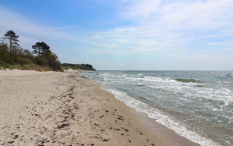 Gonne - 350M from the Sea: Wood, House, Cottage, Home, Roof, Rural Area, Siding, Log Cabin, Garden Buildings, Hardwood