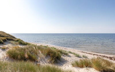 Chenoa - 200M from the Sea