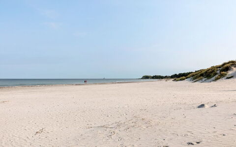 Widerik - 260M from the Sea: Grass, House, Roof, Home, Cottage, Shrub, Land Lot, Rural Area, Farmhouse, Groundcover