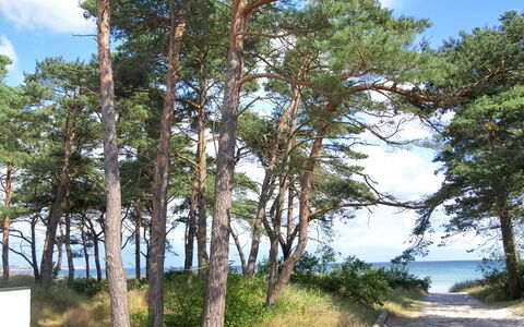 Kiana - 250M from the Sea: Wood, House, Cottage, Home, Roof, Rural Area, Siding, Log Cabin, Garden Buildings, Hardwood
