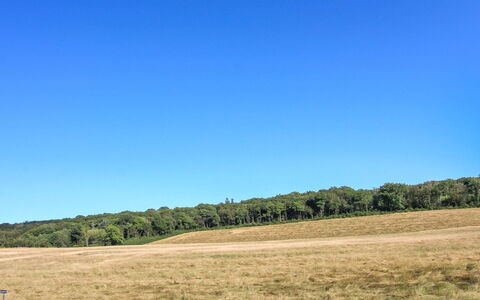 Rask - 3Km from the Sea: Wood, House, Cottage, Home, Roof, Rural Area, Siding, Log Cabin, Garden Buildings, Hardwood