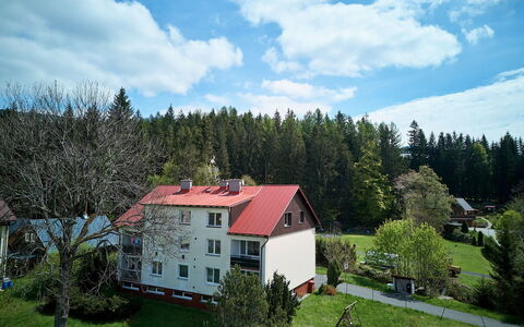 Harrachov 582: Tree, Window, Home, House, Cottage, Lawn, Estate, Farmhouse, Yard, Larch