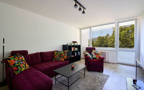 Harrachov 582: Furniture, Property, Couch, Table, Interior Design, Window, Houseplant, Living Room, Wood, Floor