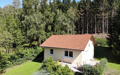 Konrad: Plant, Property, Plant Community, Nature, Sky, Building, Leaf, House, Window, Tree