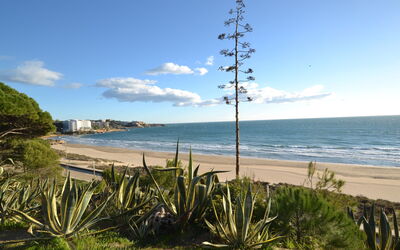 Salou 705: Water, Sky, Property, Tree, Building, Swimming Pool, Azure, Body Of Water, Leisure, Urban Design