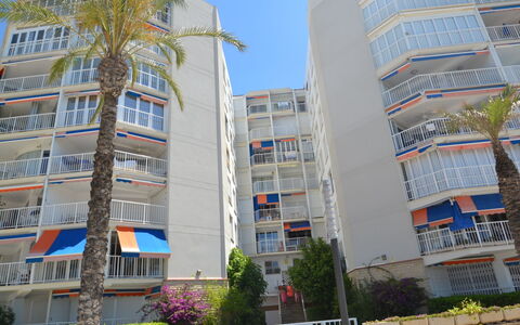 Bello Horizonte: Water, Sky, Property, Tree, Building, Swimming Pool, Azure, Body Of Water, Leisure, Urban Design