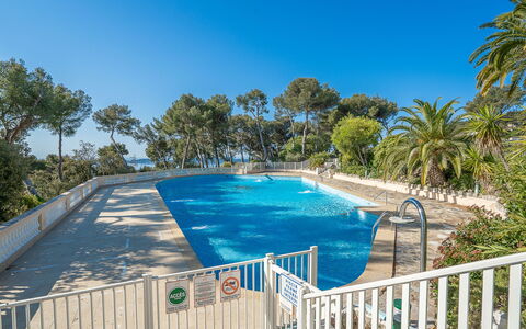 Mont des Oiseaux: Swimming Pool, Farmhouse, Estate, Villa, Resort, Hacienda, Eco Hotel, Backyard
