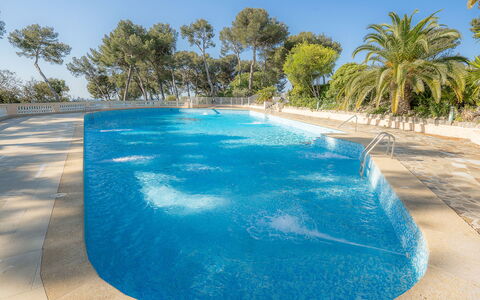 Mont des Oiseaux: Swimming Pool, Farmhouse, Estate, Villa, Resort, Hacienda, Eco Hotel, Backyard
