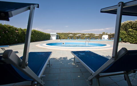 Baraka Apartments: Water, Sky, Swimming Pool, Azure, Outdoor Furniture, Sunlounger, Plant, Shade, Tree, Rectangle