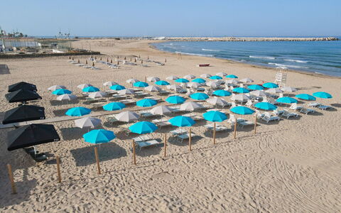 Baraka Apartments: Blue, Body Of Water, Outdoor Furniture, Beach, Umbrella, Shade, Sea, Shore, Coast, Sand