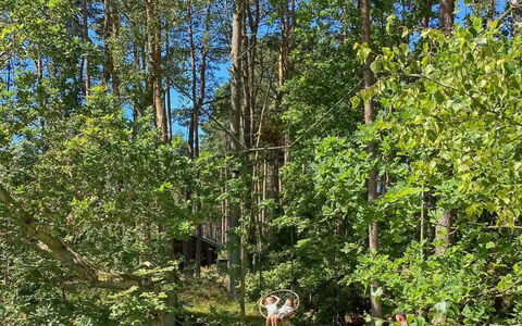 Meret - 800M from the Sea: Leaf, Tree, Natural Environment, Wood, Vegetation, Branch, Forest, Plant Community, Jungle, Trunk