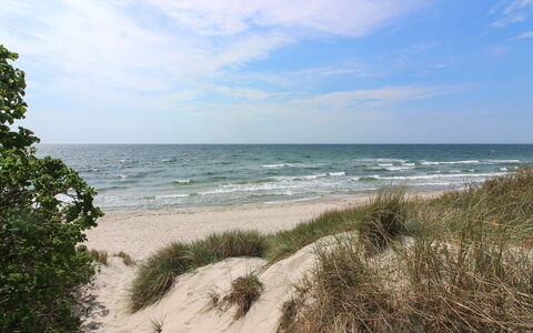 Nuka - 800M from the Sea: Wood, Sea, Cloud, Coastal And Oceanic Landforms, Deck, Ocean, Plank, Boardwalk, Coast, Hardwood