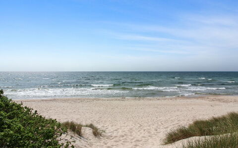 Aave - 800M from the Sea: Wood, House, Cottage, Home, Roof, Rural Area, Siding, Log Cabin, Garden Buildings, Hardwood