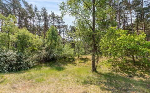 Aave - 800M from the Sea: Wood, House, Cottage, Home, Roof, Rural Area, Siding, Log Cabin, Garden Buildings, Hardwood