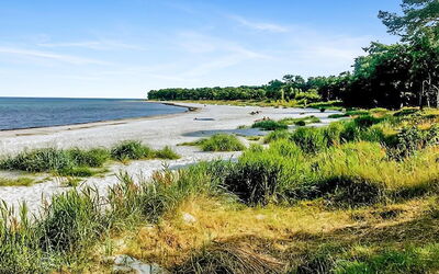 Anemette - 100M from the Sea